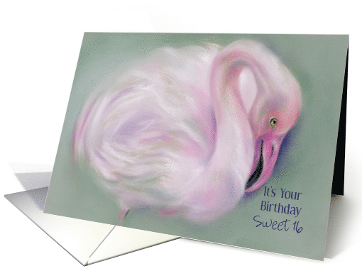 Custom Age Sweet 16 Birthday Soft Pastel Flamingo Art card (1510072)