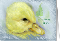 Custom Thinking of You Cute Yellow Duckling Pastel Artwork card