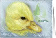 Custom Thank You Cute Yellow Duckling Pastel Artwork card