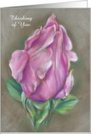 Custom Thinking of You Pink Rose Pastel Art card