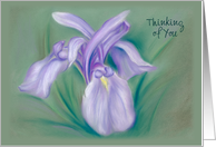 Custom Thinking of You Purple Iris Pastel Art card