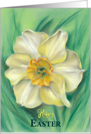 Happy Easter Daffodil Spring Floral Pastel card