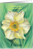 Custom Relative Grandchildren Easter Daffodil Floral Pastel card