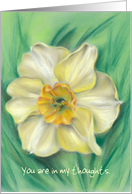 Custom Thinking of You Daffodil Floral Pastel Art card