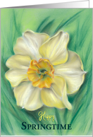 Happy Springtime Daffodil Floral Pastel Art card