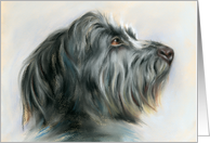 Black and Gray Wolfhound Dog Pastel Art Blank card