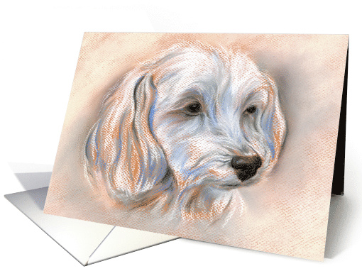 Maltipoo Small White Dog Pastel Portrait Art Blank card (1517104)