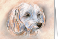 Maltipoo Small White Dog Pastel Portrait Art Blank card
