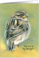 Custom Thinking of You Sparrow Bird Pastel Art card