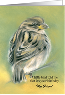 Custom Friend Birthday Sparrow Bird Pastel Art card