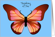 Custom Thinking of You Pink and Orange Butterfly Graphic card