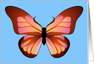 All Occasion Blank Pink and Orange Butterfly Graphic card