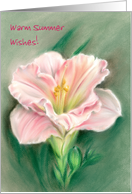 Custom Warm Summer Wishes Pink Daylily Pastel Art card