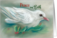 White Dove in Holly Peace on Earth Christmas card