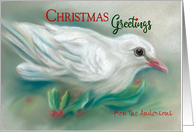 Personalized From Name White Christmas Dove in Holly card