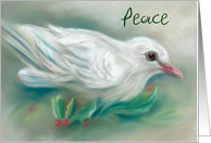 Custom Winter Season Peace White Christmas Dove in Holly card