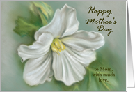 Custom Mothers Day for Mom White Begonia Flower Pastel card