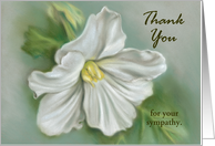 Custom Thank You for Sympathy White Begonia Flower Pastel Art card