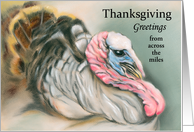 From Across the Miles Custom Thanksgiving Greetings Tom Turkey Art card