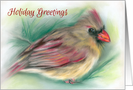 Christmas Holiday Greetings Cardinal in Pine Pastel Art card