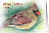 Custom Christmas for Relative Sister Cardinal in Pine Pastel Art card