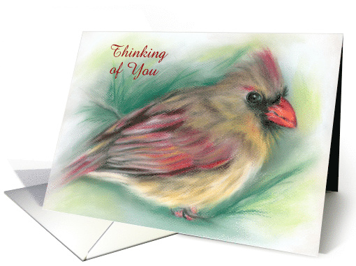 Custom Thinking of You Female Cardinal with Pine Needles... (1543394)