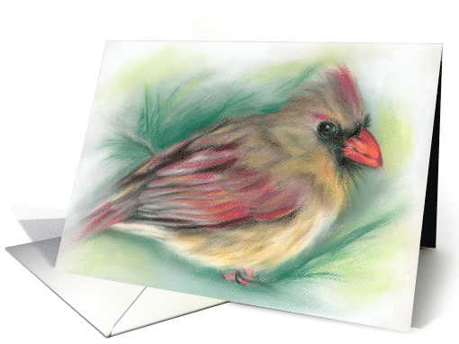 All Occasion Blank Female Cardinal in Pine Pastel Artwork card