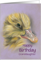 Custom Fluffy Duckling Child Relative Granddaughter Birthday card