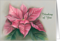 Custom Thinking of You Pink Poinsettia Floral Pastel Art card