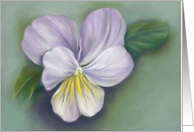 Purple and Yellow Viola Flower Pastel Art All Occasion Blank card