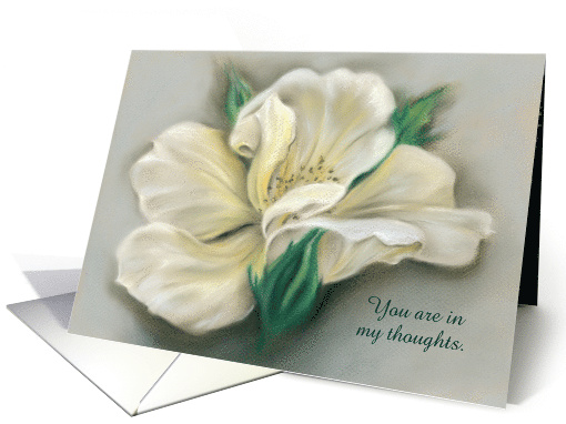 Custom Thinking of You Pale Yellow Rose Blossom Pastel card (1550664)