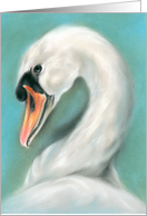 White Swan Pastel Bird Artwork All Occasion Blank card