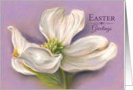 Easter Greetings White Dogwood Flower Pastel Artwork card