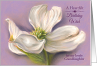 Custom Relative Granddaughter Birthday Wish White Dogwood Flower card