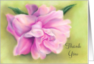 Thank You Pink Camellia Flower with Leaves Pastel Art card