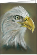 Bald Eagle Pastel Portrait All Occasion Blank card