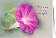 Custom Thinking of You Magenta Morning Glory Pastel Art card