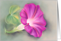 Magenta Morning Glory and Leaf Pastel Art All Occasion Blank card