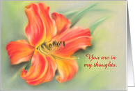 Custom Orange Daylily Flower Pastel Art Thinking of You card