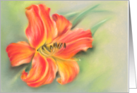 Orange Daylily Flower Pastel Art All Occasion Blank card