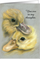 Custom Thinking of You Cute Duckling Pair Pastel Art card