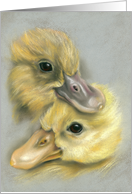 Pair of Cute Ducklings Pastel Art All Occasion Blank card
