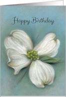Happy Birthday White Dogwood Spring Floral Pastel Art card
