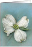 Dogwood Blossom White Spring Floral Pastel Artwork All Occasion Blank card