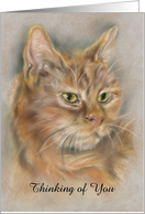 Custom Thinking of You Ginger Cat Pastel Tabby Art card