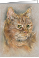 Ginger Tabby Cat Pastel Art All Occasion Blank card