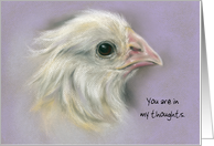 Custom Thinking of You Baby Chick Bird Pastel Art card