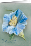 Custom September Birthday Blue Morning Glory with Butterfly Pastel card