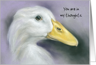 Custom Thinking of You White Duck Pastel Art card