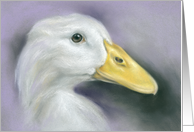 White Duck Pastel Art All Occasion Blank card